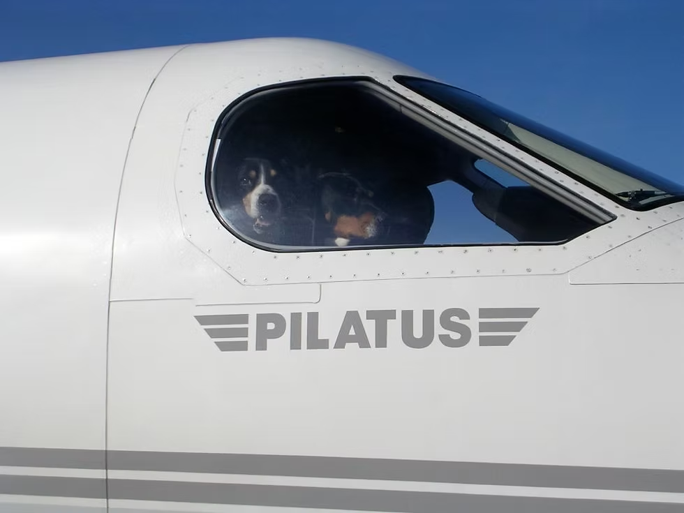 Duke and Berta, co-pilots