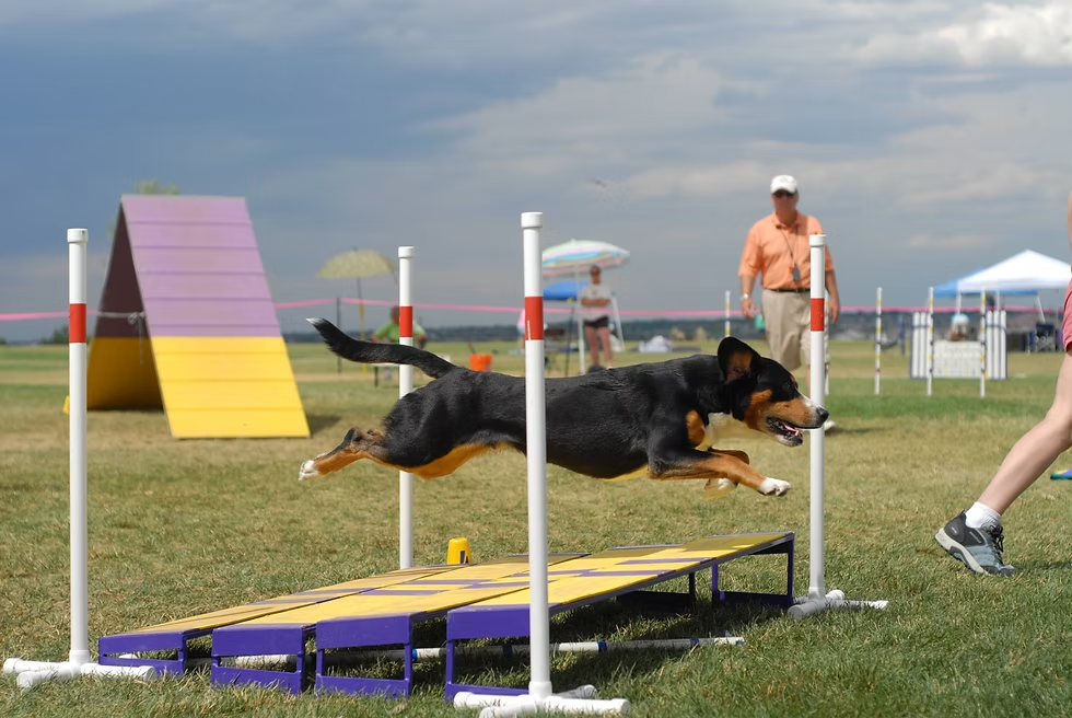 Earl on the broad jump