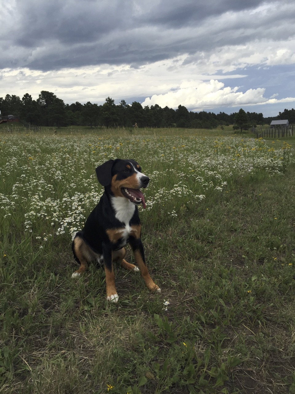 Marcus in the field