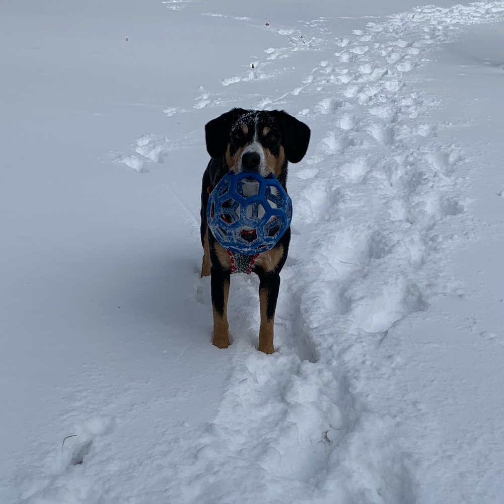 Marcus with his snow ball
