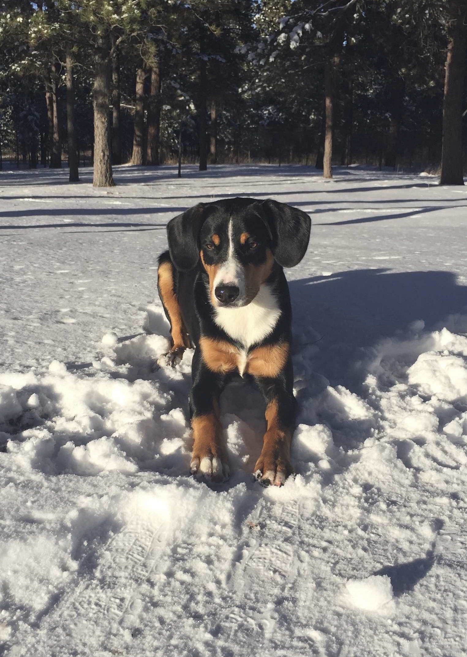 Marcus in the snow