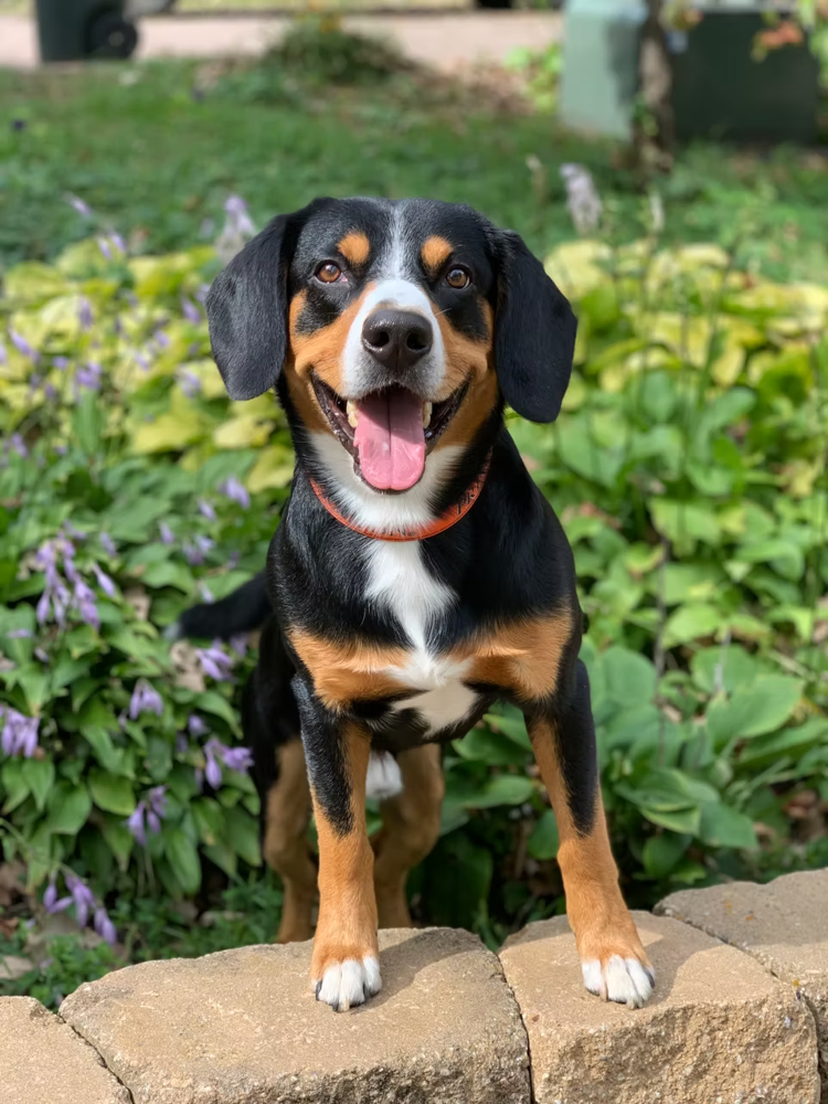 Princeton portrait