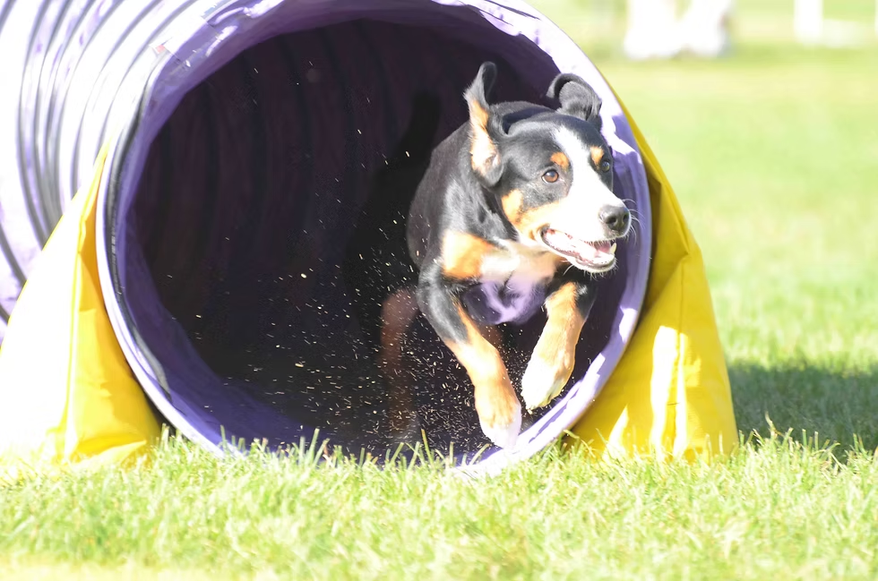 Xella in the tunnel