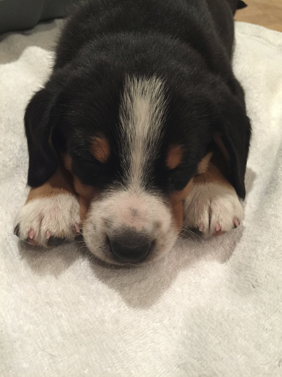 Mountain Boy sleeping